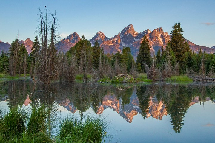Sunrise 4-Hour Grand Teton Wildlife Adventure - Photo 1 of 7